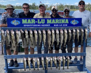 limit catch of big Lake Erie walleye