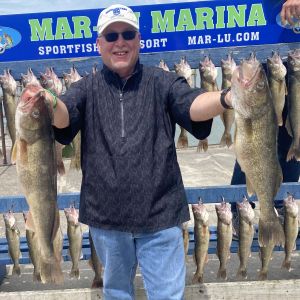 Two big Lake Erie walleye